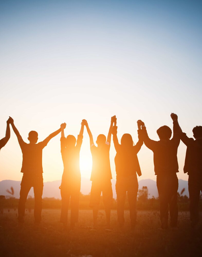 team_freedom_liberating_organism_c_envato_min.jpg