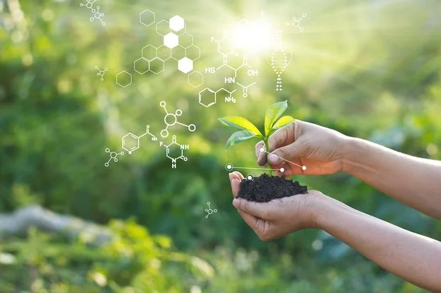 One hand holding up a pile of dirt and another one planting a plant into it while the sun shines in the background