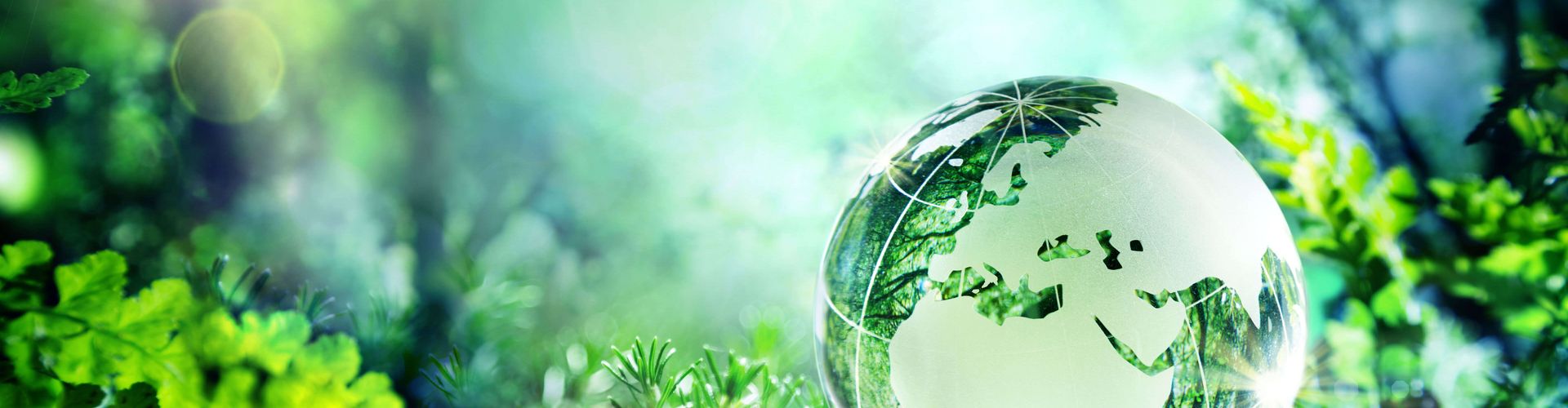 sustainability_preview_image.jpg