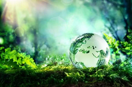 Transparent glass globe lying in the grass with a forest in the background