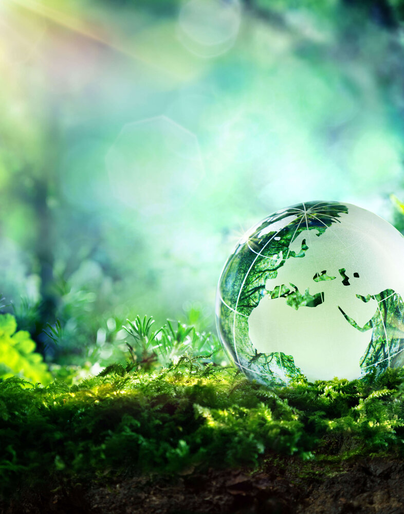 sustainability_preview_image.jpg