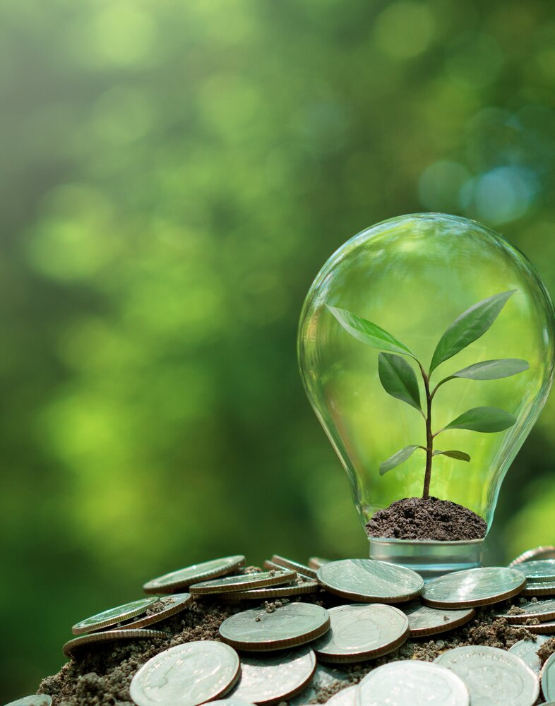 small-tree-planted-in-light-bulb-on-coin-with-natu-2023-06-06-05-14-55-utc-min.jpg
