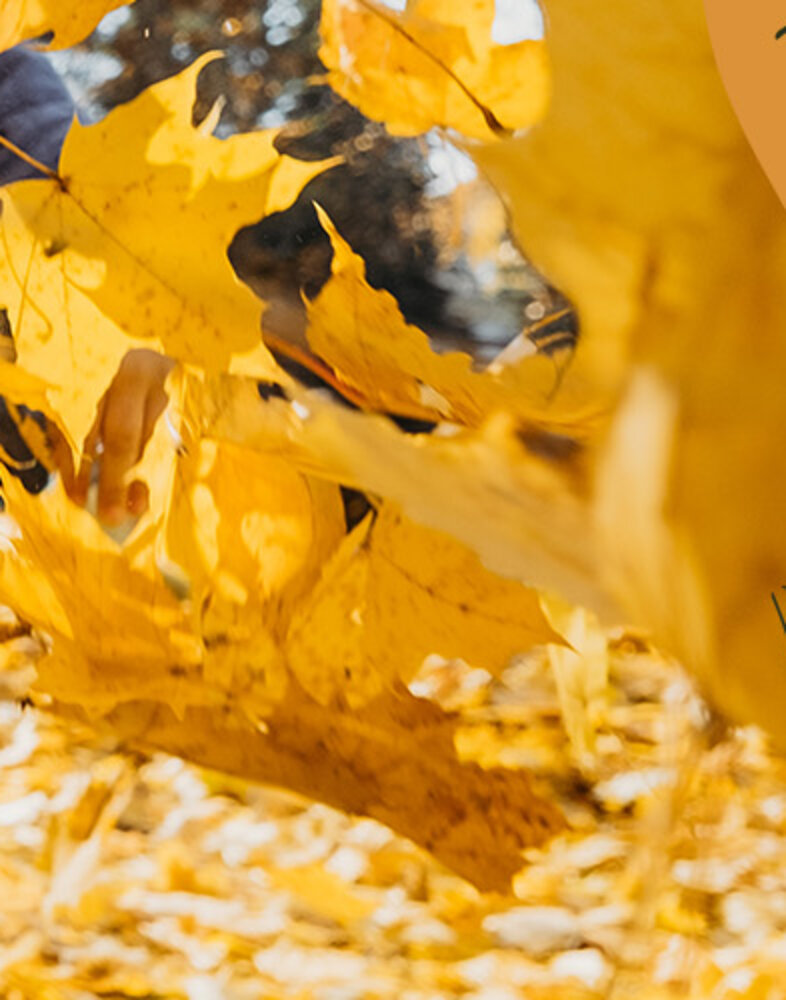Header_Landing_Autumn_24_1920x500.jpg