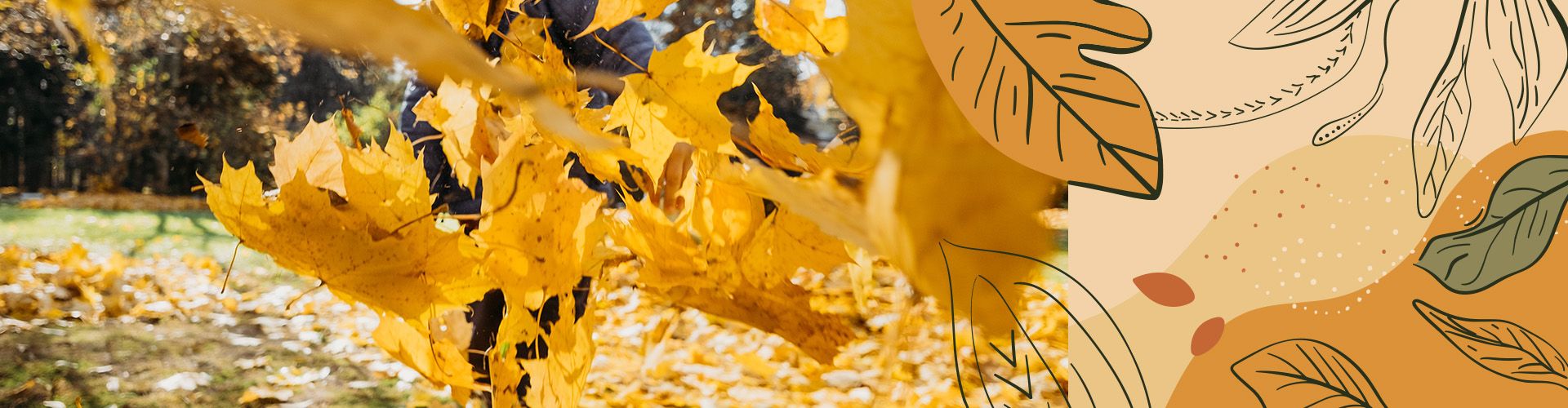 Header_Landing_Autumn_24_1920x500.jpg
